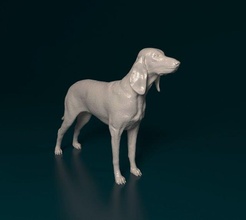 segugio italiano cane animale stampabile printready stl obj 3d print model - Mito3D