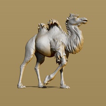 shaggy camel goof baktrischen Tier Ungeheuer Pflanzenfresser säugetier menschenleer Wüste haarige wooly haarig pilous artiodactyl Vieh Tiere Arabisch ist 3d print model - Mito3D