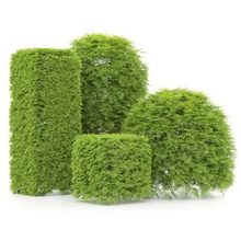 şekilli çalı bitkiler v01 3d model in 3dexport çit manzara cüce yaupon bitki selvi küresel sokak bahçe ardıç meydan dış mekan dekoratif ağaç kutu yeşil çalılar 3d print model - Mito3D