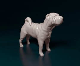 Shar pei Pei stl obj köpek hayvan yazdırılabilir yazdırmaya hazır 3d print model - Mito3D