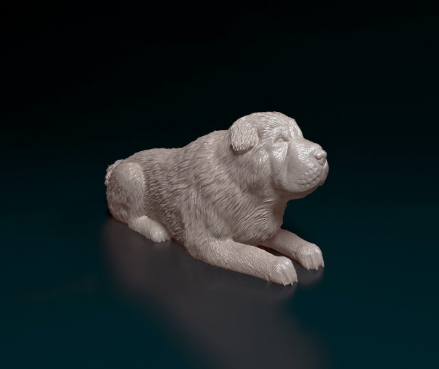 shar pei bear 3d print model in figurines 3dexport sharpei dog animal stl obj printable printready 3D print model - Mito3D