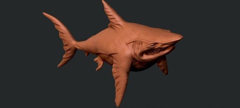 shark printing 3d print model - Mito3D