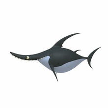 requin dessin animé prédateur poisson océan mer monde mâchoires tueur mort sang attaque guerrier dents toon animaux aquatique pirhanna barracuda marlin 3d print model - Mito3D