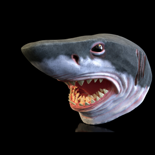 Hai Maske Tiere Hammerkopf Fisch Kostüm Halloween Monster Cosplayer Sammlung Fauna gefährlich Ozean Meer Fluss Wasser prähistorisch Natur 3d print model - Mito3D