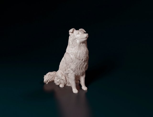 sheltie 3d yazdır model in figürinler 3dexport shetland çoban köpeği stl obj yazdırmaya hazır yazdırılabilir köpek 3D print model - Mito3D