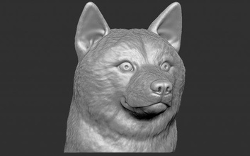 shiba inu cabeza 3d impresión esquivar dodgecoin elon almizcle criptomoneda bitcoin terrier dobermann danés perro animal escultura francés buldog rottweiler pitbull Labrador 3d print model - Mito3D