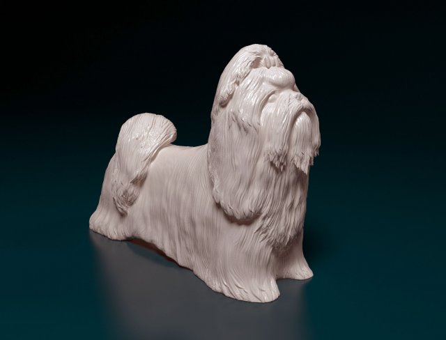 shih tzu 3d stampa modello in figurine 3dexport cane shihtzu stl animale obj statua shitzu domestico figura stampabile 3D print model - Mito3D