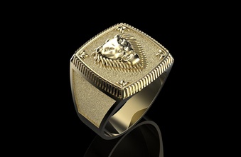 mühür yüzük aslan takı mücevher signet ring değerli moda güzellik fashion and beauty altın gümüş platin yazdırılabilir cnc 3d print model - Mito3D