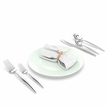 besteck geschirr einstellen 3d modell küche 3dexport essen ware serviette rostfrei stahl porzellan gericht blass grün tabelle leinen 3d print model - Mito3D