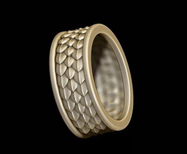la piel del anillo de cocodrilo dinosaurio dragón escamas el pelaje oro joya joyería lagarto imprimible los reptiles anillos las escalas plata serpiente viking salvaje 3d print model - Mito3D