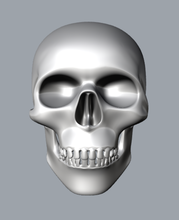 Schädel Skelett Mann Knochen 3d print model - Mito3D