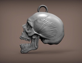 cranio 3d stampa modello in scultura 3dexport scheletro morto pendente medaglione decorazione gioiello arte sculture scheletrico anatomia 3d print model - Mito3D