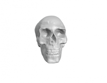 skull sculpture crain crown devil dead human man anatomy brain cranium evil design woman art 3d print model - Mito3D