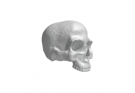 skull sculpture crain anatomy human man woman devil evil dead death brain zombie design art sculpt finitura 3d print model - Mito3D