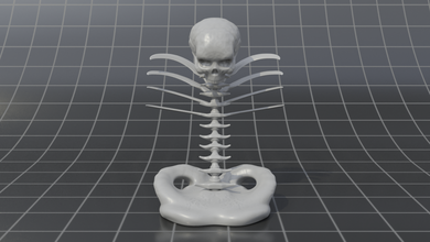 Schädel Abstraktion Knochen Skelett Miniatur Stand Wirbelsäule Statue 3d print model - Mito3D