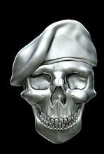 skull free 3d print model - Mito3D