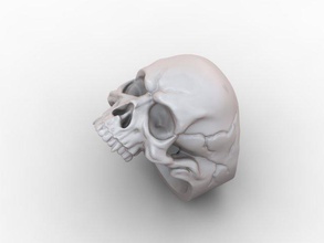 kafatası yüzük 3d yazdır model in yüzükler 3dexport aksesuar kemik kemikler taç tasarım şekil mücevher altın takı kolye süs kraliçe gümüş iskelet 3d print model - Mito3D