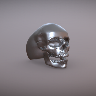 crânio anel 3d impressão argolas joalheria 3dprintable human skull 3d print model - Mito3D
