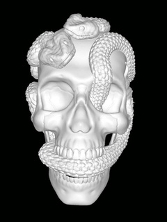skull snakes 3d print model - Mito3D