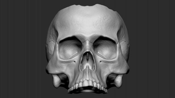skullpot sculpture skull pot decor flowers cup cranium anatomy figurine dark halloween death 3d print model - Mito3D