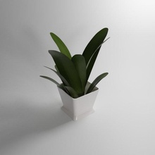 pequeno plantar livre pequena planta Panela 3d print model - Mito3D