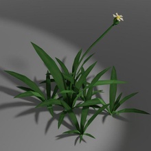 pequeña salvaje planta maceta césped verde indio lowpoly 3d print model - Mito3D