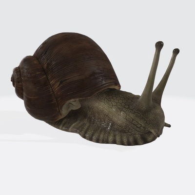 salyangoz heykel hazır to yazdır 3d model in 3dexport dev vahşi afrika doğa gastropod kabuk omurgasız hayvanlar böcek snail shell ekolojik sümüklüböcek sarmal yumuşakça bahçe minyatürler figürinler 3d print model - Mito3D