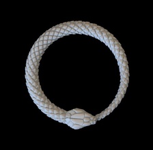 serpiente lagartija cobra víbora veneno mordedura infinito impresión Arte esculturas cascabel tipo venenosa 3d print model - Mito3D