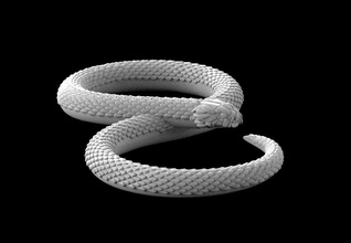 serpiente 3d impresión modelo in 3dexport lagartija cobra víbora veneno mordedura infinito arte 3d print model - Mito3D