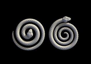 snake 3d print model in sculpture 3dexport lizard cobra viper poison bite infinity art sculptures rattlesnake mamba 3d print model - Mito3D