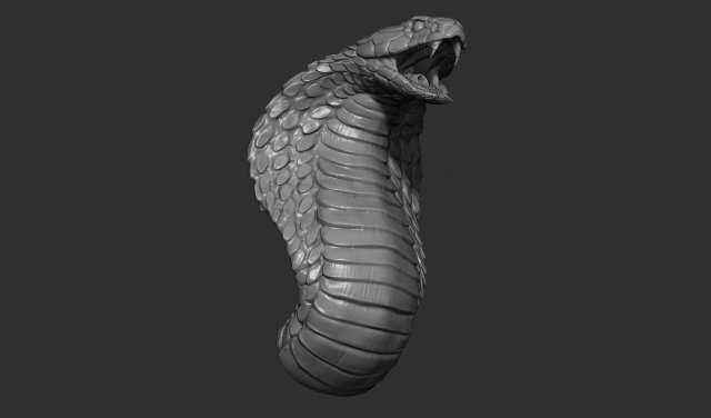 serpent cobra tête art statue décor imprimable miniatures cnc soulagement bijoux sculptures 3D print model - Mito3D