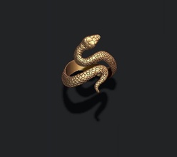 serpiente anillo 3d impresión modelo in anillos 3dexport joyería oro imprimible plata joya compromiso detallado hembra reptil cascabel terraza serpientes veneno venenoso víbora cobra 3d print model - Mito3D