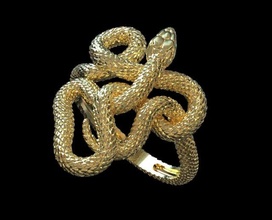 serpent bague 3d impression modèle in anneaux 3dexport vipère sonnette poison cobra python anaconda boa imprimante miniatures figurines or argent bijoux 3d print model - Mito3D