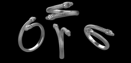 yılan yüzük tasarım vb 3d yazdır model in yüzükler 3dexport mühür altın gümüş hayvanlar orman çimen yumurta mistisizm göz 3d print model - Mito3D