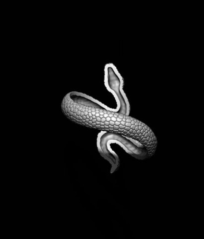 snake ring v2 3d print model in rings 3dexport jewellery gold diamond printable silver jewel cad female jewelry reptile rattlesnake atrox serpent snakes poison poisonous venom viper cobra 3d print model - Mito3D