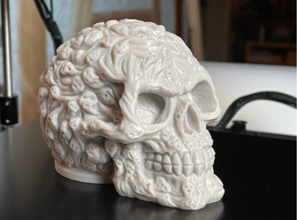 anima cranio 3d stampa 3dprinting 3dprint 3d print model - Mito3D