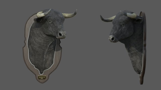 español toro cabeza trofeo 3d modelo in 3dexport luchando animal mamífero naturaleza corriendo torero toros españa figura escuela politécnica juego listo unidad activo irreal zoo animales 3D print model - Mito3D