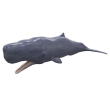 sperm whale pbr textures killer shark dolphin fish animal mammal aquatic orcinus sea ocean game fantasy monster creature realistic texture material 3d print model - Mito3D