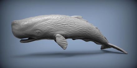 esperma baleia 3d impressão modelo in escultura 3dexport oceano mar animal mamífero selvagem natureza estatueta lembrança esculpir arte interior 3d print model - Mito3D