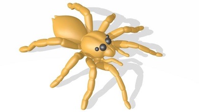 spider animal arachnid rigged blender 3d print model - Mito3D