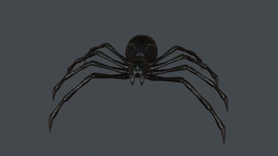 araignée poly libre 3d modèle in 3dexport arachnide lowpoly prêt jouer 3d print model - Mito3D