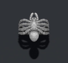 spider ring 3d print model in rings 3dexport animal arachnid fur gold goliath hair insect jewel jewelry mexican nature poison realistic silver tarantula venom wildlife 3d print model - Mito3D