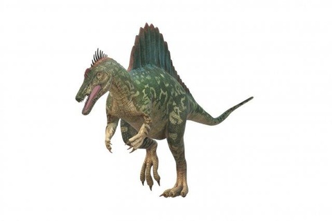 Spinosaurus Dinozor hazır Yazdır hayvanlar 3dprint canavar hayvan minyatürler figürinler sürüngen Jurassic karakter dino oyunlar oyuncaklar nesli tükenmiş tarih öncesi yırtıcı fosil yaratık 3d print model - Mito3D