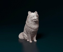 spitz cane animale stl miniatura Stampa obj statua domestico figura stampabile 3d print model - Mito3D