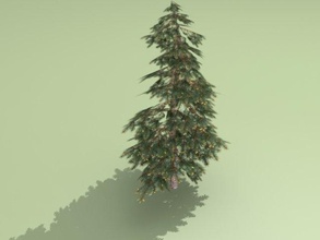 spruce 3d model in tree 3dexport wood coniferous 3d print model - Mito3D