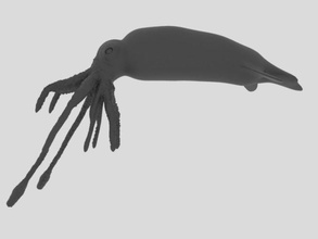 squid 3d model in aquatic 3dexport animal zoo zeezoo sealife wild wildlife 3dprinter 3dprinted 3d print model - Mito3D