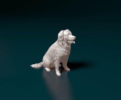 stabyhoun perro figuritas animales animal impresión stl obj frisio 3d print model - Mito3D
