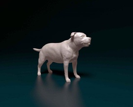 staffordshire toro terrier 1 3d impresión modelo in figuritas 3dexport perro personal condado stl animal obj figura mascota americano estatua imprimible 3d print model - Mito3D
