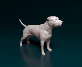 staffordshire boğa teriyer 2 3d yazdır model in figürinler 3dexport köpek personel stl hayvan amerikan shire obj heykel evcil şekil 3d print model - Mito3D
