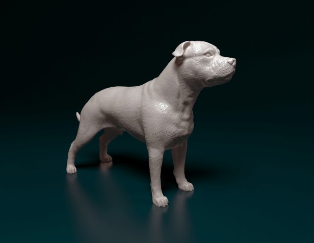staffordshire stier terrier 3 3d drucken modell figuren 3dexport hund tier gedruckt stl obj druckbar mitarbeiter bullterrier 3D print model - Mito3D